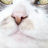 724 的头像