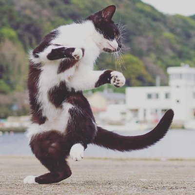 yalnux's profile picture
