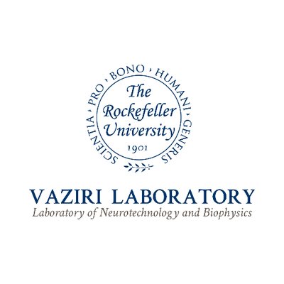VaziriLab's profile picture