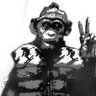Profilbild von Anonymous