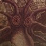 Profilbild von Pulpo Errante