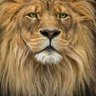 Profilbild von Juba