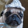 Profilbild von PUGSPIRACY
