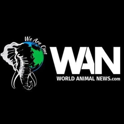 World Animal News's profile picture