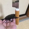 Фото профиля BeetleLance