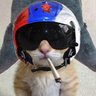 Цукор Мукерберг™ profil fotoğrafı