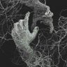 Фото профиля A. Turki