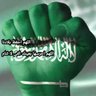 ESSAM AHMED's profile picture