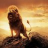 vivek kumar's profile picture