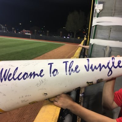 ECUJungle's profile picture