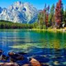 كمال ابو وسيم الجزائري profil fotoğrafı