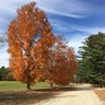 Фото профиля Granite State Bliss