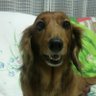 keico 的头像