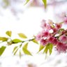 brilliant_1107 的头像