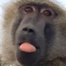 Profilbild von DA