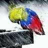 Фото профиля FRANK DI GREGORIO