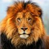 Profilbild von יוֹדֵעַ אֶת הַדָּבָר .