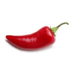 SquirtingPiss's profile picture