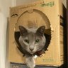 すなさん profil fotoğrafı