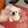 こうちゃん profil fotoğrafı