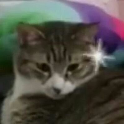 저화질의 구름이's profile picture