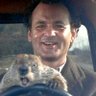 Profilbild von Groundhog Day