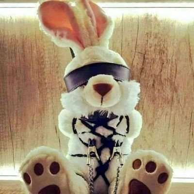 peter degen ♋'s profile picture