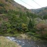 臨海里山計画：田舎暮らし,島暮らし！'s profile picture