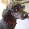 Paul Dubie's profile picture