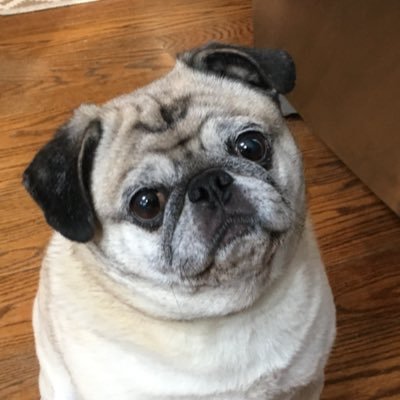 karlravechespn's profile picture