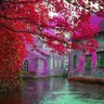 Фото профиля güney’den
