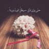 pink rOse 的头像