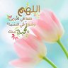 مُنيرةٌ باللَّــہِ💛🌿's profile picture