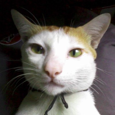 joeyakarta's profile picture