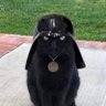 John profil fotoğrafı