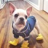 rickyrideout profil fotoğrafı