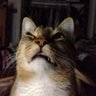 OverworkedNerd's profile picture