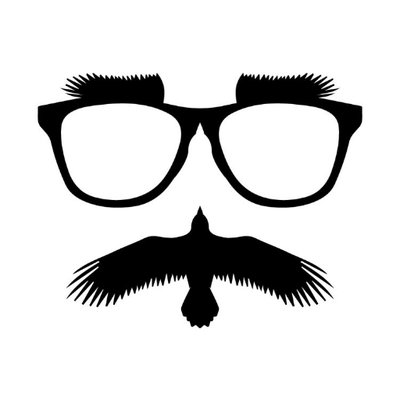 shipwrckdcomedy's profile picture