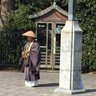 Niuniu 的头像