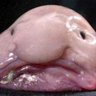 Profilbild von MIBPJ