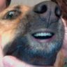 Profilbild von Biodane