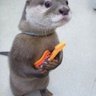 Profilbild von Red_terror