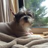 Minnie's Mum 的头像