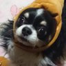 Фото профиля てらちゃん