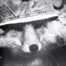 писячник's profile picture