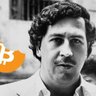 Profilbild von Diet Bitcoin