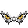 The Falcon Eyes 的头像