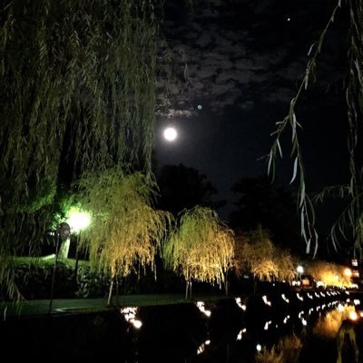 seiji_takaiwa's profile picture
