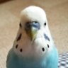 Фото профиля よーこ。