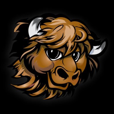 Rumble the Bison's profile picture